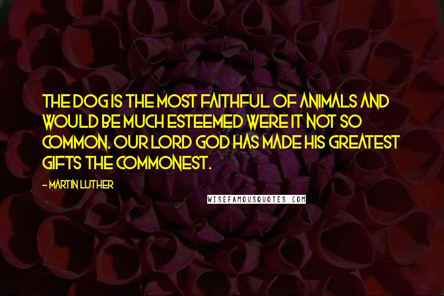 Martin Luther Quotes: The dog is the most faithful of animals and would be much esteemed were it not so common. Our Lord God has made His greatest gifts the commonest.