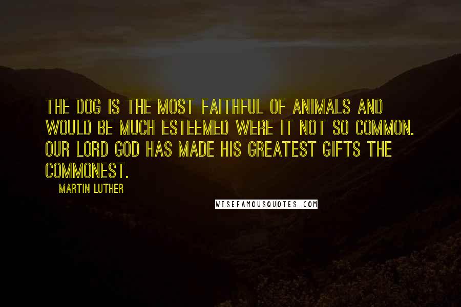 Martin Luther Quotes: The dog is the most faithful of animals and would be much esteemed were it not so common. Our Lord God has made His greatest gifts the commonest.