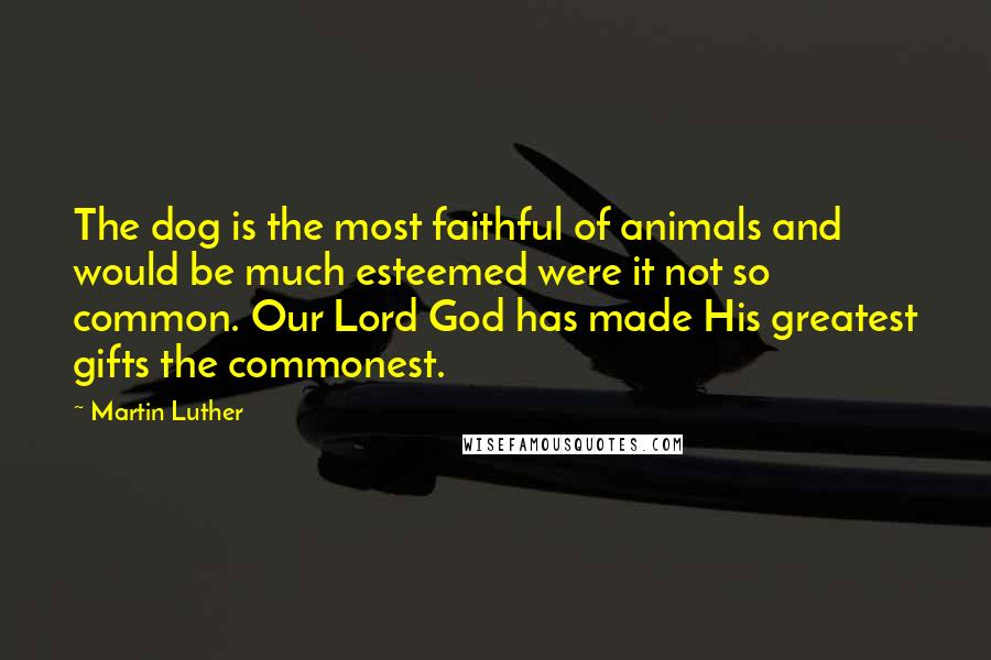 Martin Luther Quotes: The dog is the most faithful of animals and would be much esteemed were it not so common. Our Lord God has made His greatest gifts the commonest.