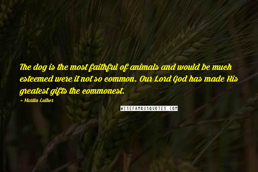 Martin Luther Quotes: The dog is the most faithful of animals and would be much esteemed were it not so common. Our Lord God has made His greatest gifts the commonest.