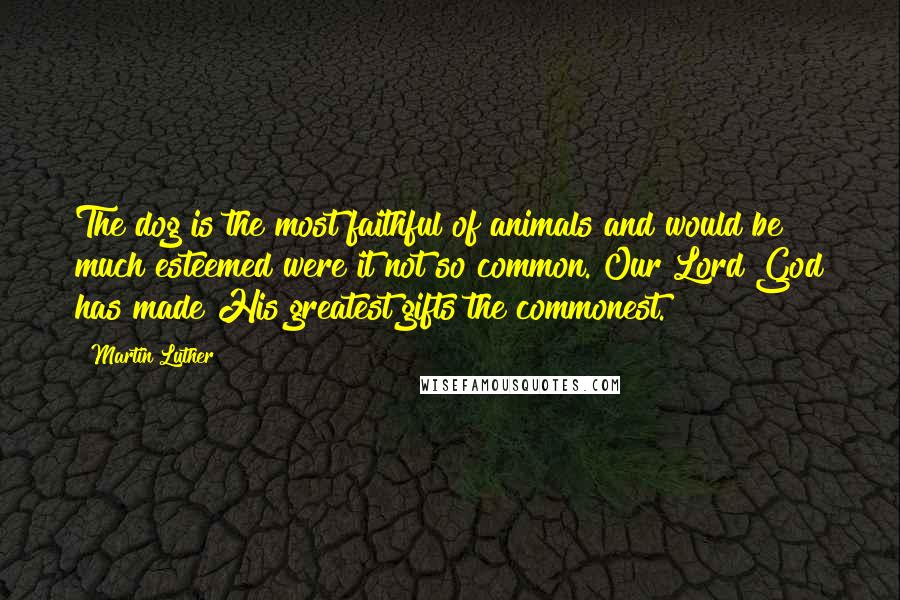 Martin Luther Quotes: The dog is the most faithful of animals and would be much esteemed were it not so common. Our Lord God has made His greatest gifts the commonest.