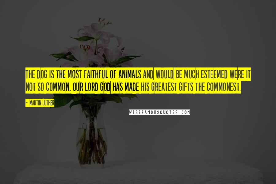 Martin Luther Quotes: The dog is the most faithful of animals and would be much esteemed were it not so common. Our Lord God has made His greatest gifts the commonest.