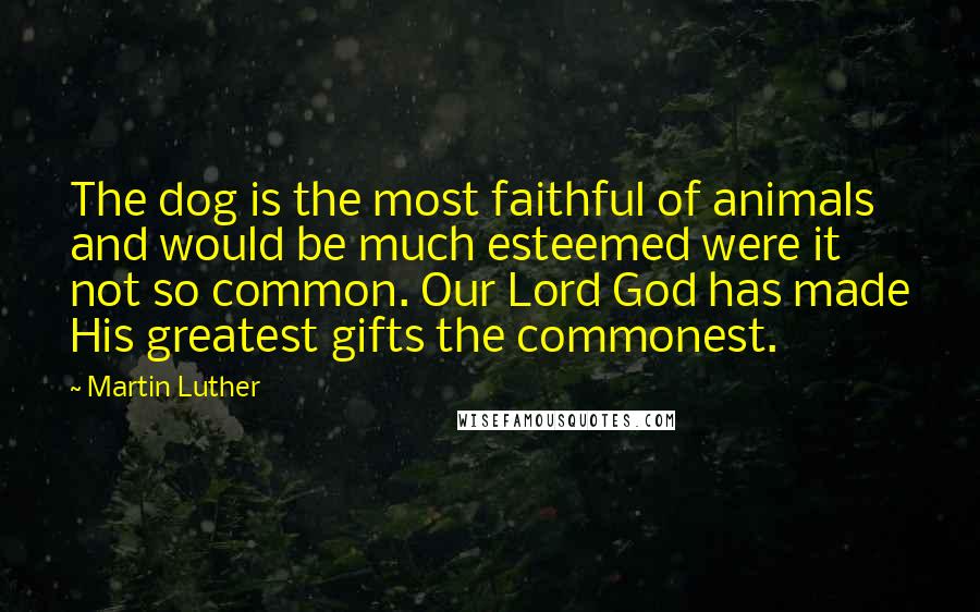 Martin Luther Quotes: The dog is the most faithful of animals and would be much esteemed were it not so common. Our Lord God has made His greatest gifts the commonest.
