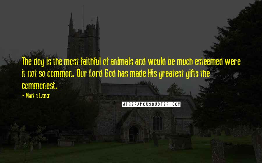 Martin Luther Quotes: The dog is the most faithful of animals and would be much esteemed were it not so common. Our Lord God has made His greatest gifts the commonest.