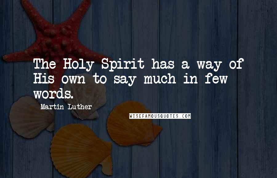 Martin Luther Quotes: The Holy Spirit has a way of His own to say much in few words.