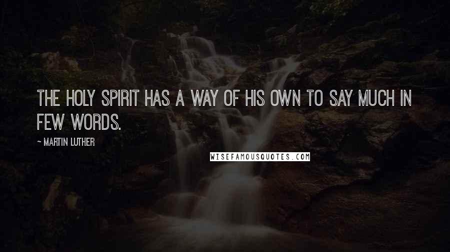 Martin Luther Quotes: The Holy Spirit has a way of His own to say much in few words.