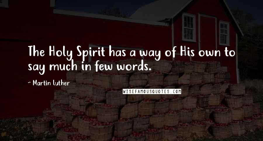 Martin Luther Quotes: The Holy Spirit has a way of His own to say much in few words.