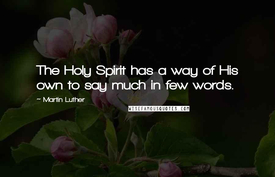 Martin Luther Quotes: The Holy Spirit has a way of His own to say much in few words.