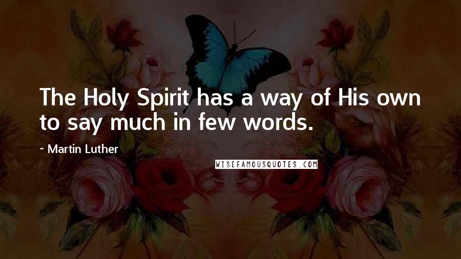 Martin Luther Quotes: The Holy Spirit has a way of His own to say much in few words.