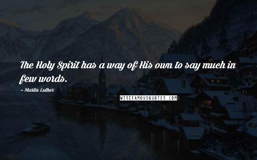 Martin Luther Quotes: The Holy Spirit has a way of His own to say much in few words.