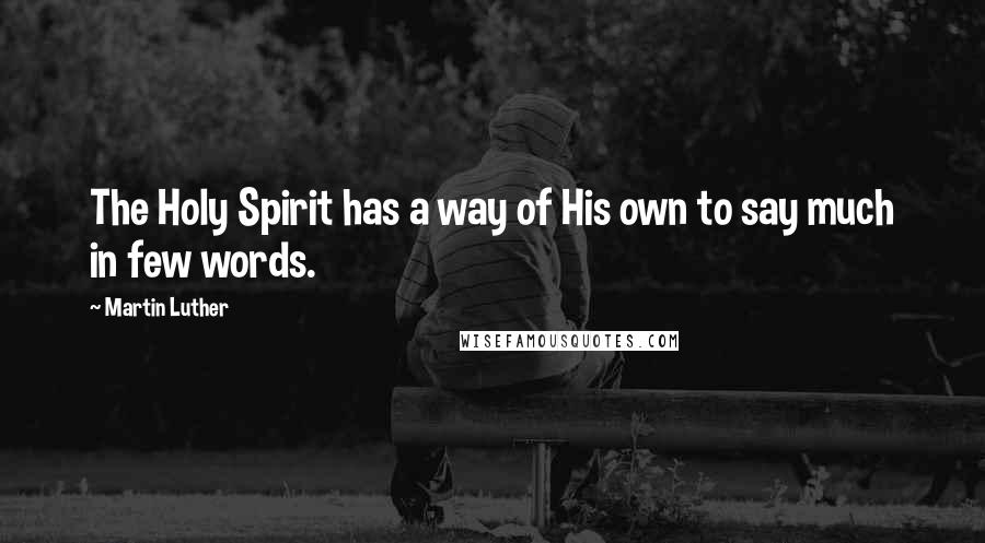 Martin Luther Quotes: The Holy Spirit has a way of His own to say much in few words.