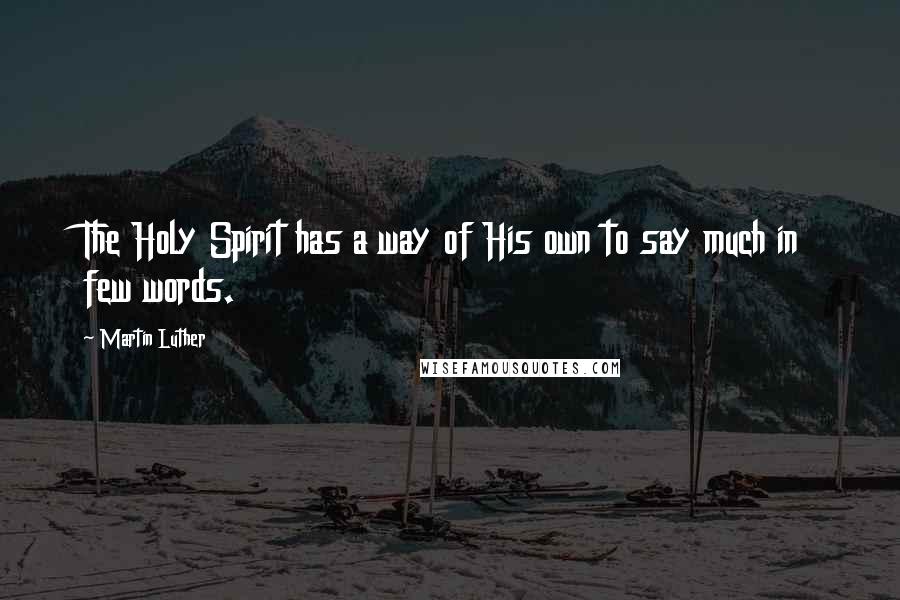 Martin Luther Quotes: The Holy Spirit has a way of His own to say much in few words.