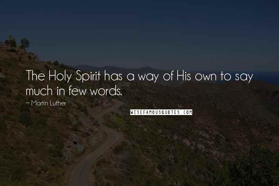 Martin Luther Quotes: The Holy Spirit has a way of His own to say much in few words.
