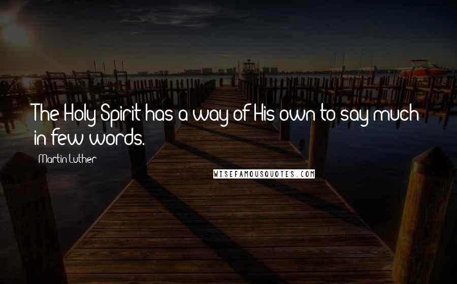 Martin Luther Quotes: The Holy Spirit has a way of His own to say much in few words.