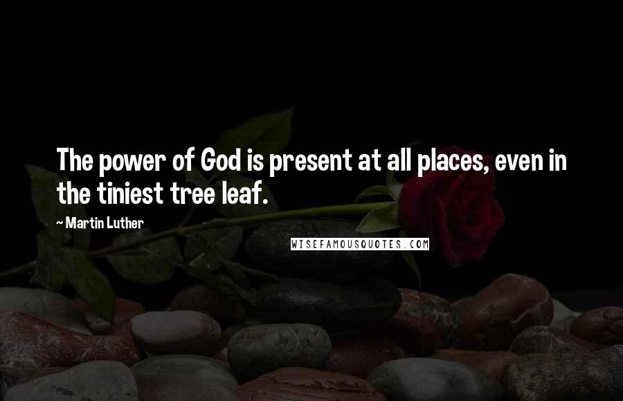 Martin Luther Quotes: The power of God is present at all places, even in the tiniest tree leaf.