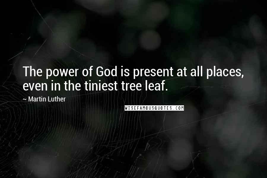 Martin Luther Quotes: The power of God is present at all places, even in the tiniest tree leaf.