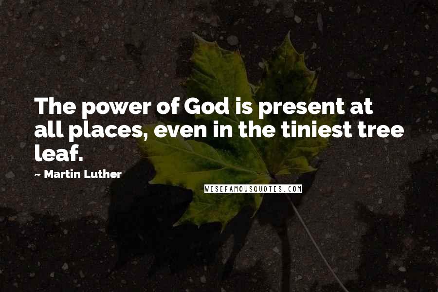 Martin Luther Quotes: The power of God is present at all places, even in the tiniest tree leaf.