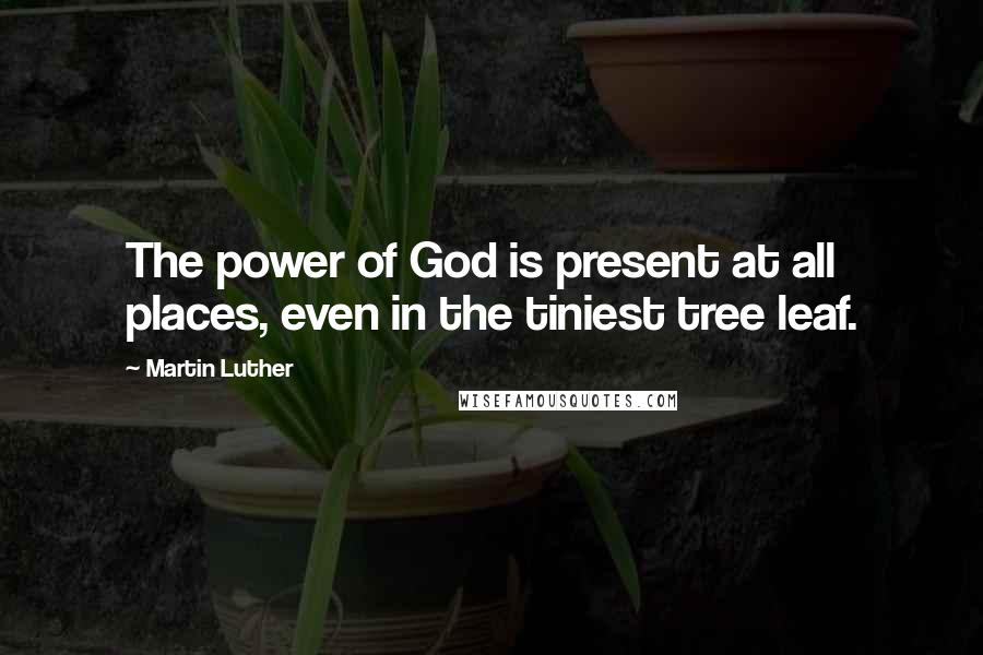 Martin Luther Quotes: The power of God is present at all places, even in the tiniest tree leaf.