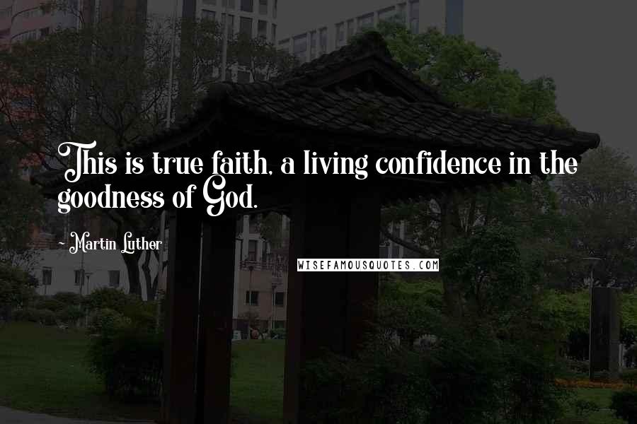 Martin Luther Quotes: This is true faith, a living confidence in the goodness of God.