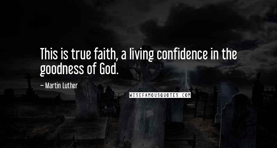 Martin Luther Quotes: This is true faith, a living confidence in the goodness of God.