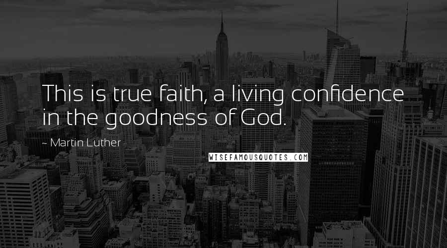 Martin Luther Quotes: This is true faith, a living confidence in the goodness of God.