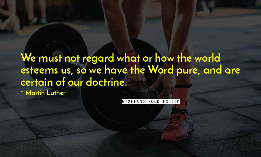 Martin Luther Quotes: We must not regard what or how the world esteems us, so we have the Word pure, and are certain of our doctrine.