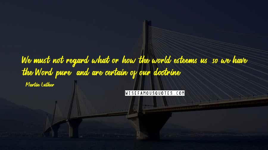 Martin Luther Quotes: We must not regard what or how the world esteems us, so we have the Word pure, and are certain of our doctrine.