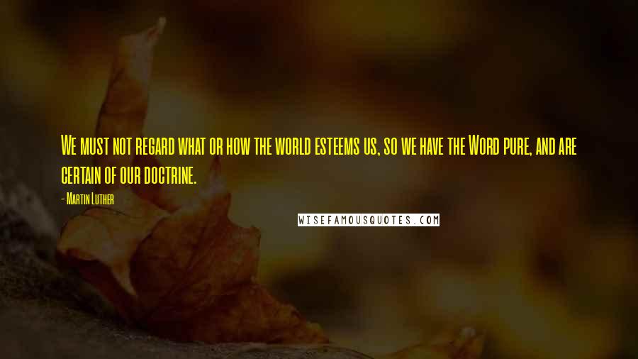 Martin Luther Quotes: We must not regard what or how the world esteems us, so we have the Word pure, and are certain of our doctrine.