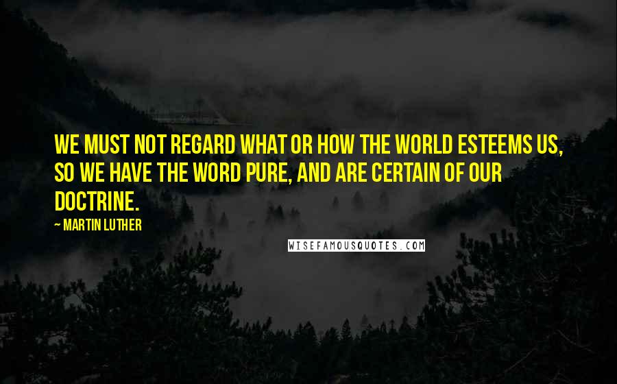 Martin Luther Quotes: We must not regard what or how the world esteems us, so we have the Word pure, and are certain of our doctrine.
