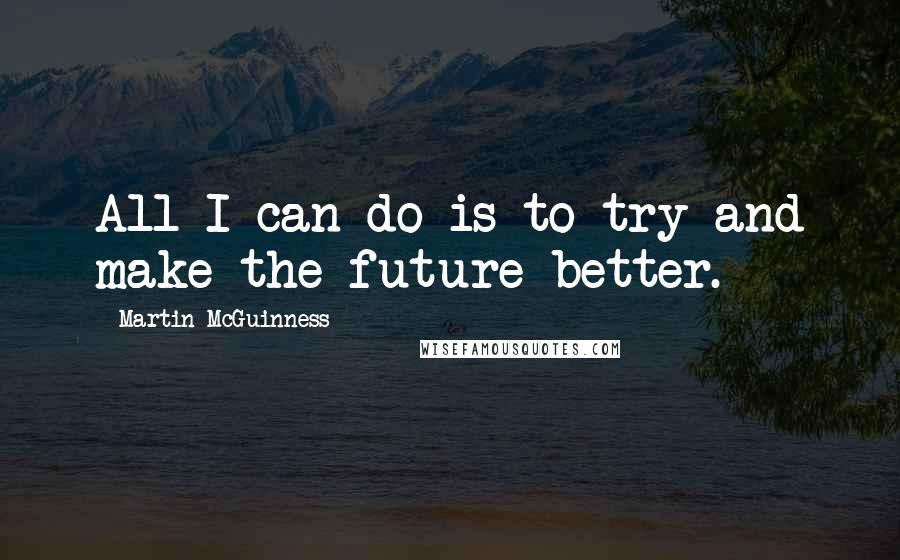 Martin McGuinness Quotes: All I can do is to try and make the future better.