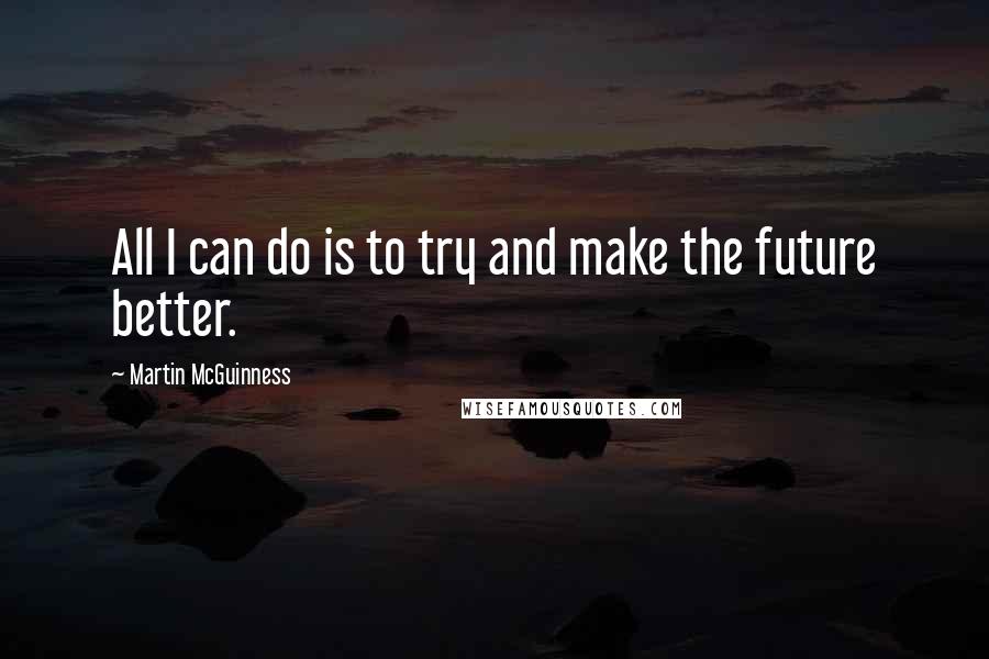 Martin McGuinness Quotes: All I can do is to try and make the future better.