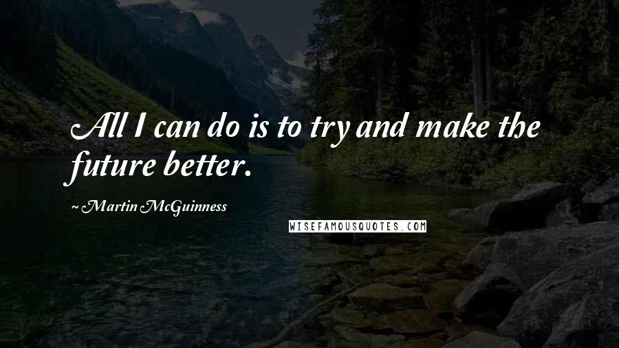 Martin McGuinness Quotes: All I can do is to try and make the future better.