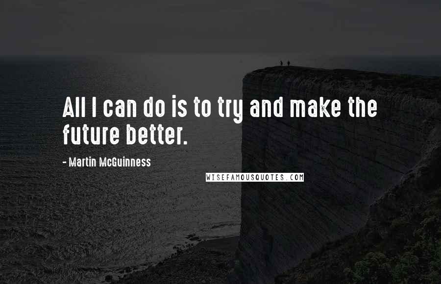 Martin McGuinness Quotes: All I can do is to try and make the future better.