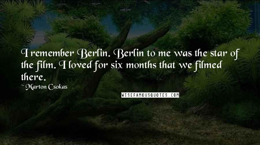 Marton Csokas Quotes: I remember Berlin. Berlin to me was the star of the film. I loved for six months that we filmed there.