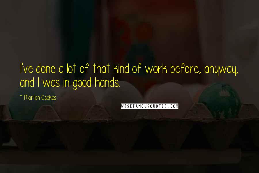 Marton Csokas Quotes: I've done a lot of that kind of work before, anyway, and I was in good hands.