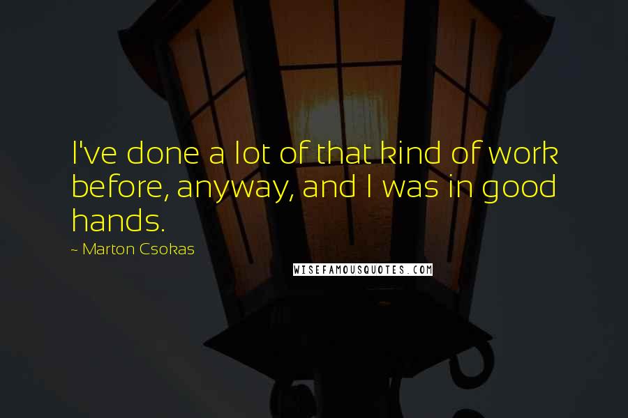 Marton Csokas Quotes: I've done a lot of that kind of work before, anyway, and I was in good hands.