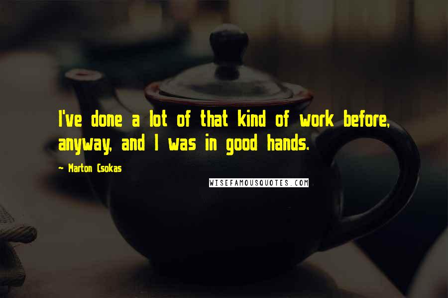 Marton Csokas Quotes: I've done a lot of that kind of work before, anyway, and I was in good hands.