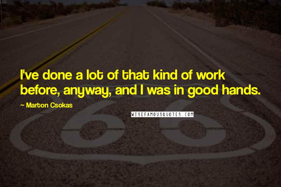 Marton Csokas Quotes: I've done a lot of that kind of work before, anyway, and I was in good hands.