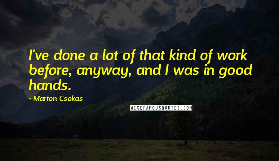 Marton Csokas Quotes: I've done a lot of that kind of work before, anyway, and I was in good hands.