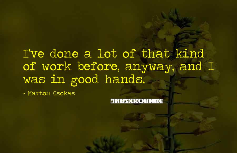 Marton Csokas Quotes: I've done a lot of that kind of work before, anyway, and I was in good hands.