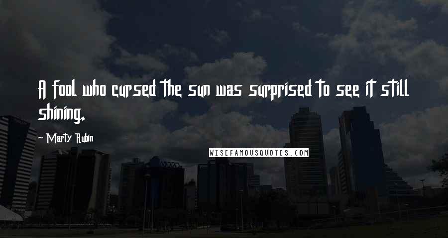 Marty Rubin Quotes: A fool who cursed the sun was surprised to see it still shining.