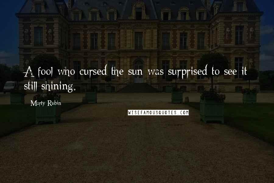 Marty Rubin Quotes: A fool who cursed the sun was surprised to see it still shining.