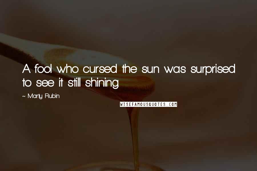 Marty Rubin Quotes: A fool who cursed the sun was surprised to see it still shining.