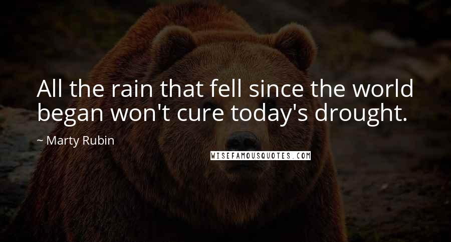 Marty Rubin Quotes: All the rain that fell since the world began won't cure today's drought.