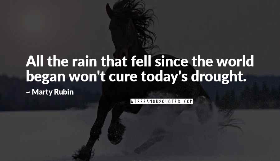 Marty Rubin Quotes: All the rain that fell since the world began won't cure today's drought.