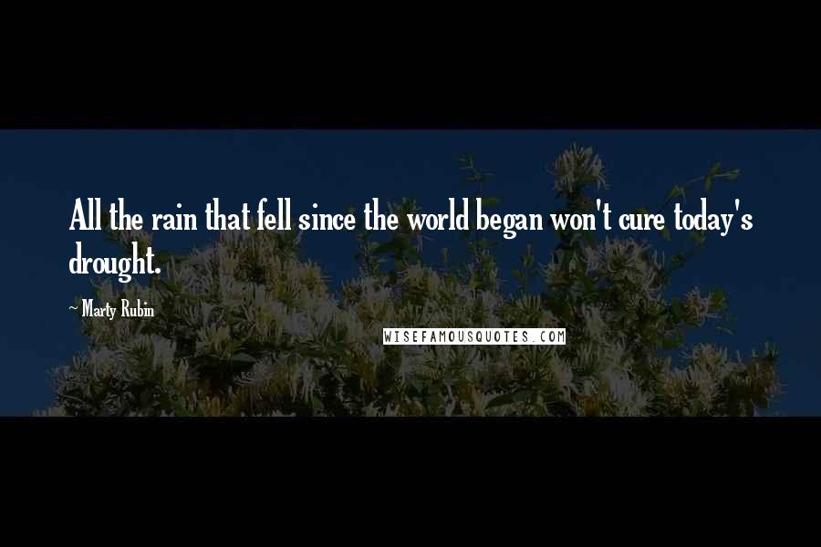 Marty Rubin Quotes: All the rain that fell since the world began won't cure today's drought.