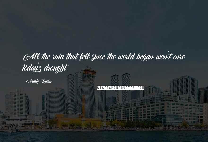 Marty Rubin Quotes: All the rain that fell since the world began won't cure today's drought.