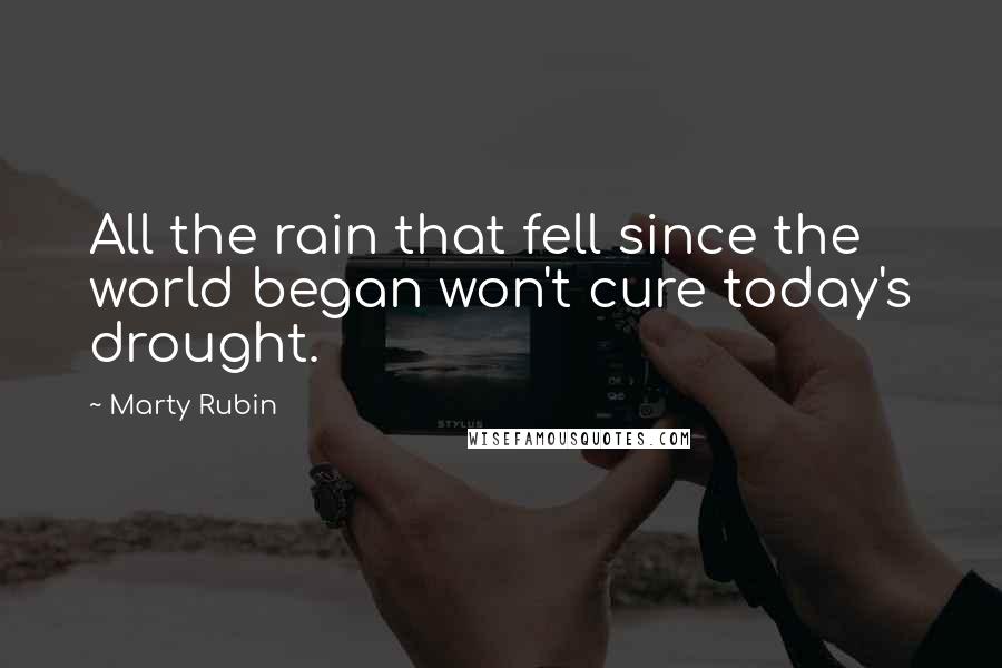 Marty Rubin Quotes: All the rain that fell since the world began won't cure today's drought.