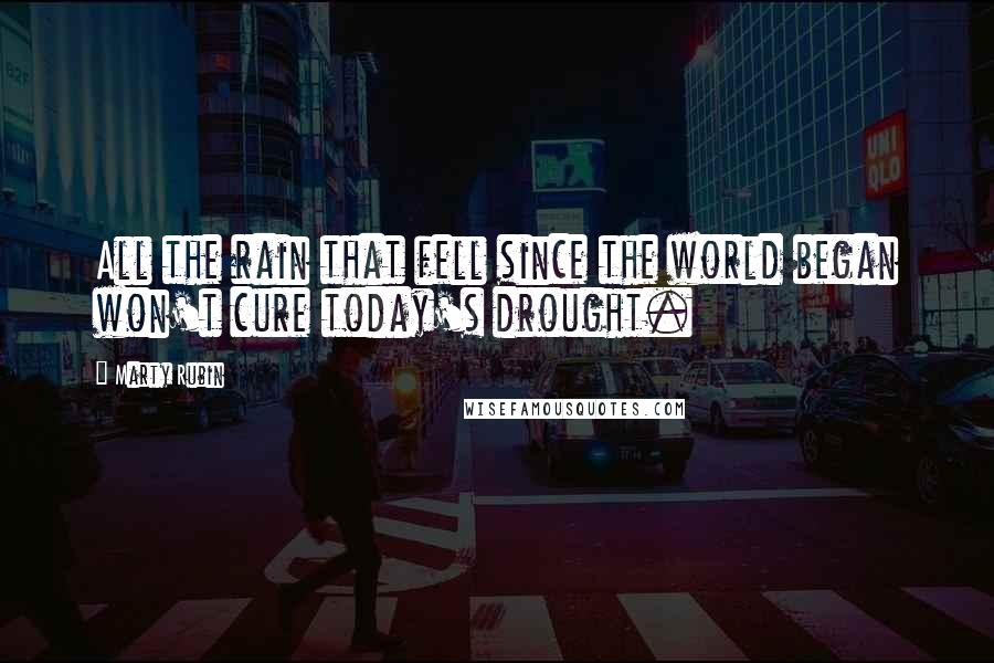 Marty Rubin Quotes: All the rain that fell since the world began won't cure today's drought.