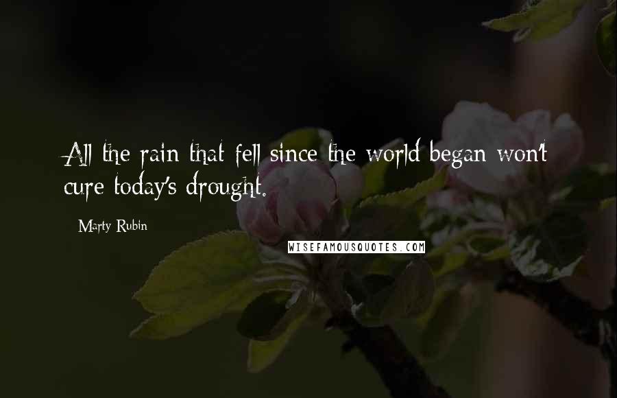 Marty Rubin Quotes: All the rain that fell since the world began won't cure today's drought.